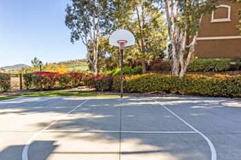 1/4 Court basketball court